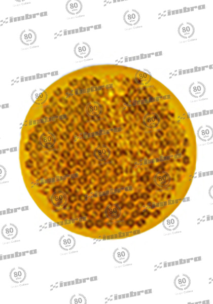 ES006745AM