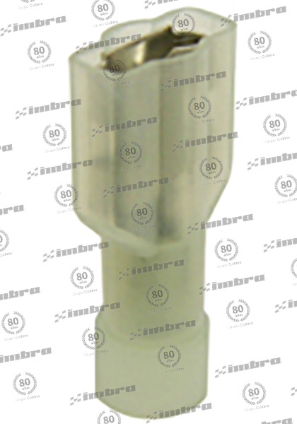 TA024FDFNY2250
