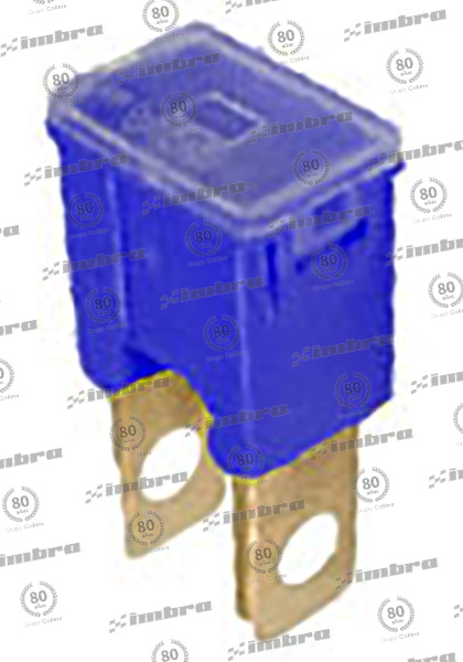 CH009S10411100A