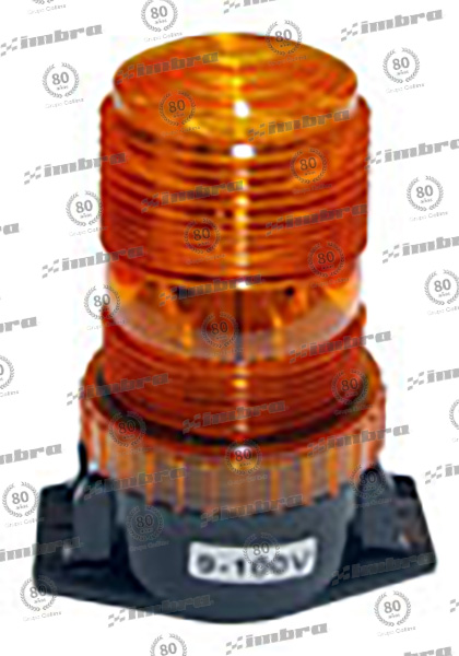 CH015SYFL81DAM