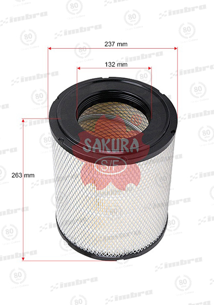 IN555A1177