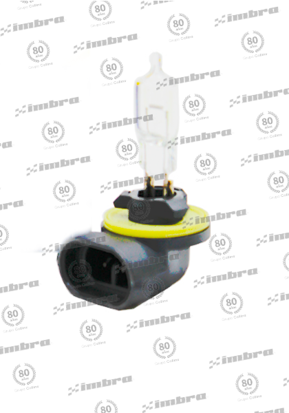 AL018889C