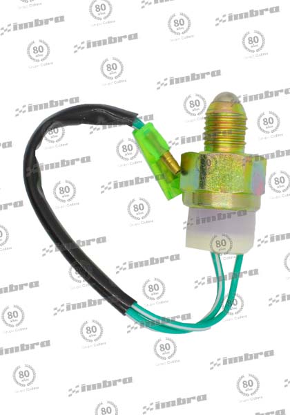CH009ZSBS5019