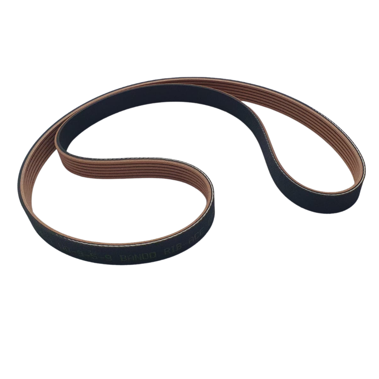 PL5552521203980K