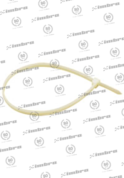 TA02436200N