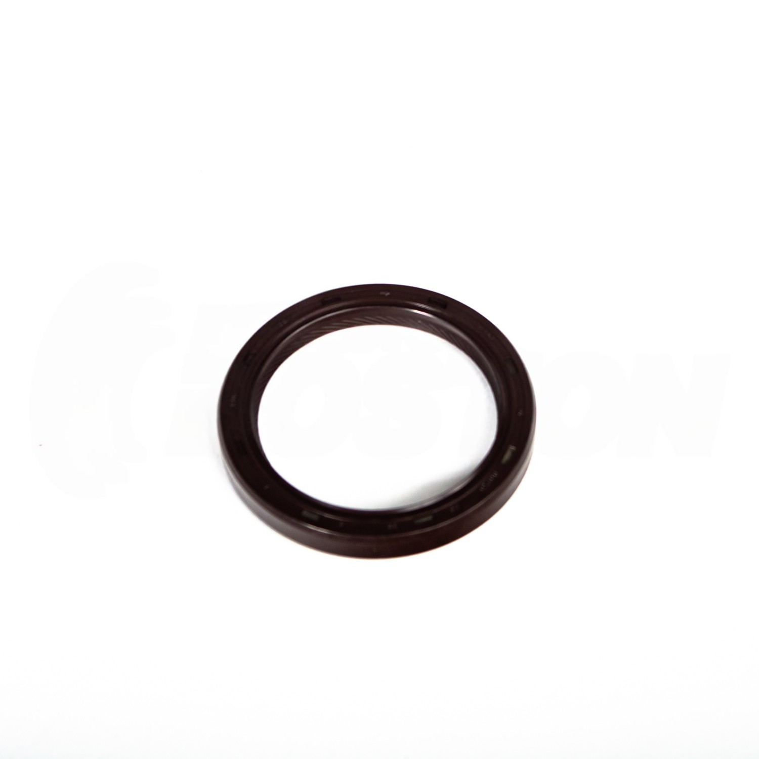 PL555213204A000G