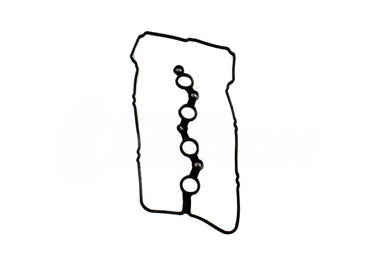 PL5552244103050