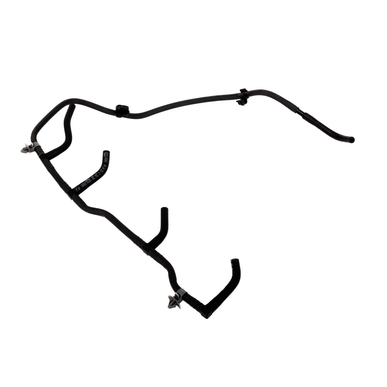 PL555314804A701