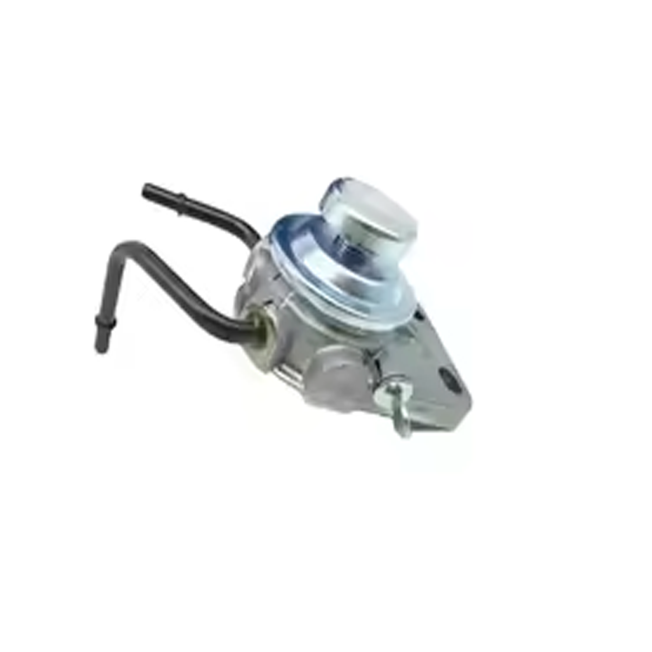 PL555VNNEW272