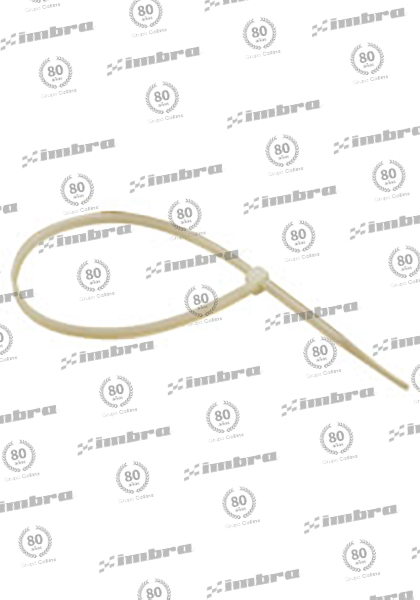 TA02448300N