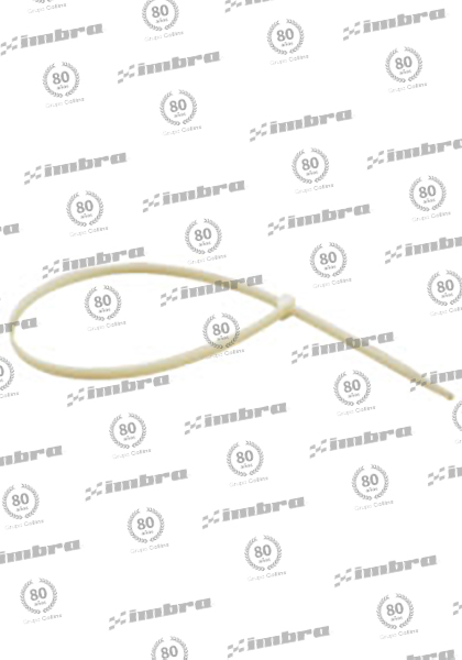 TA02448370N