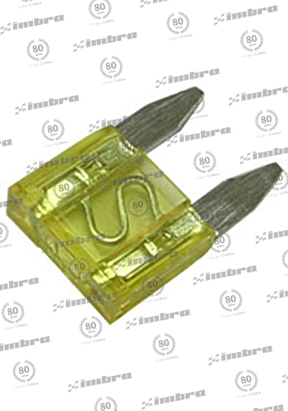 TA024MINN20