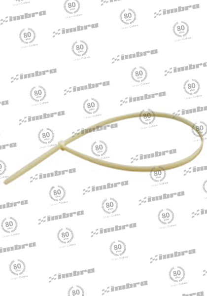 TA02490710N