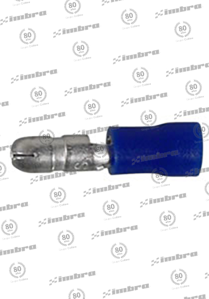 TA0242498