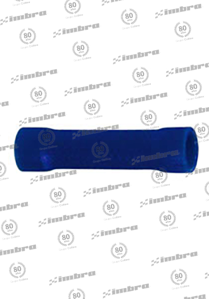 TA024BVS2