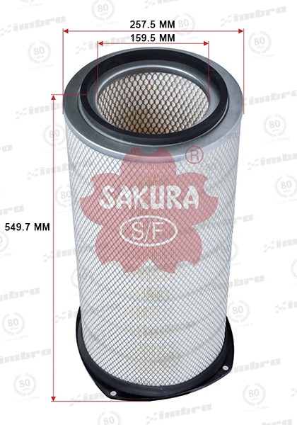 IN555A2405