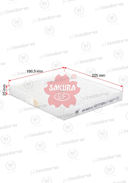 IN555CA65310