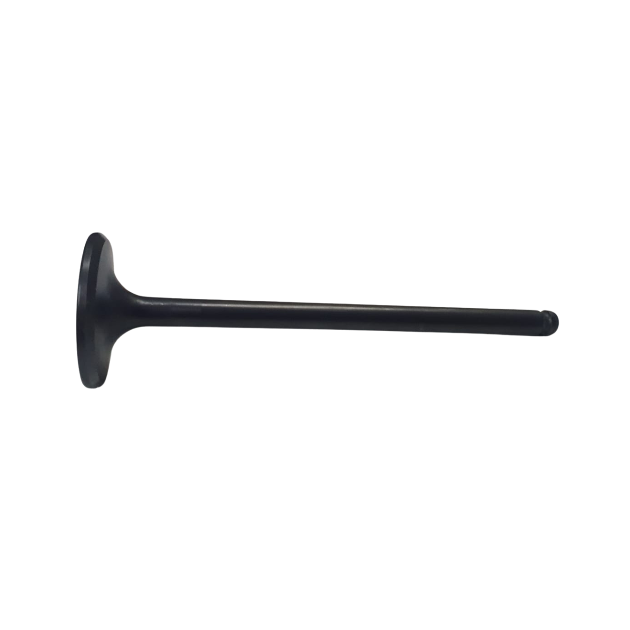 KO555HT002O21