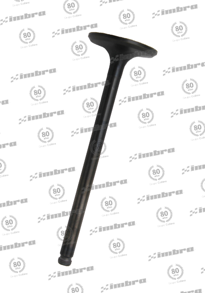 KO555P002O21