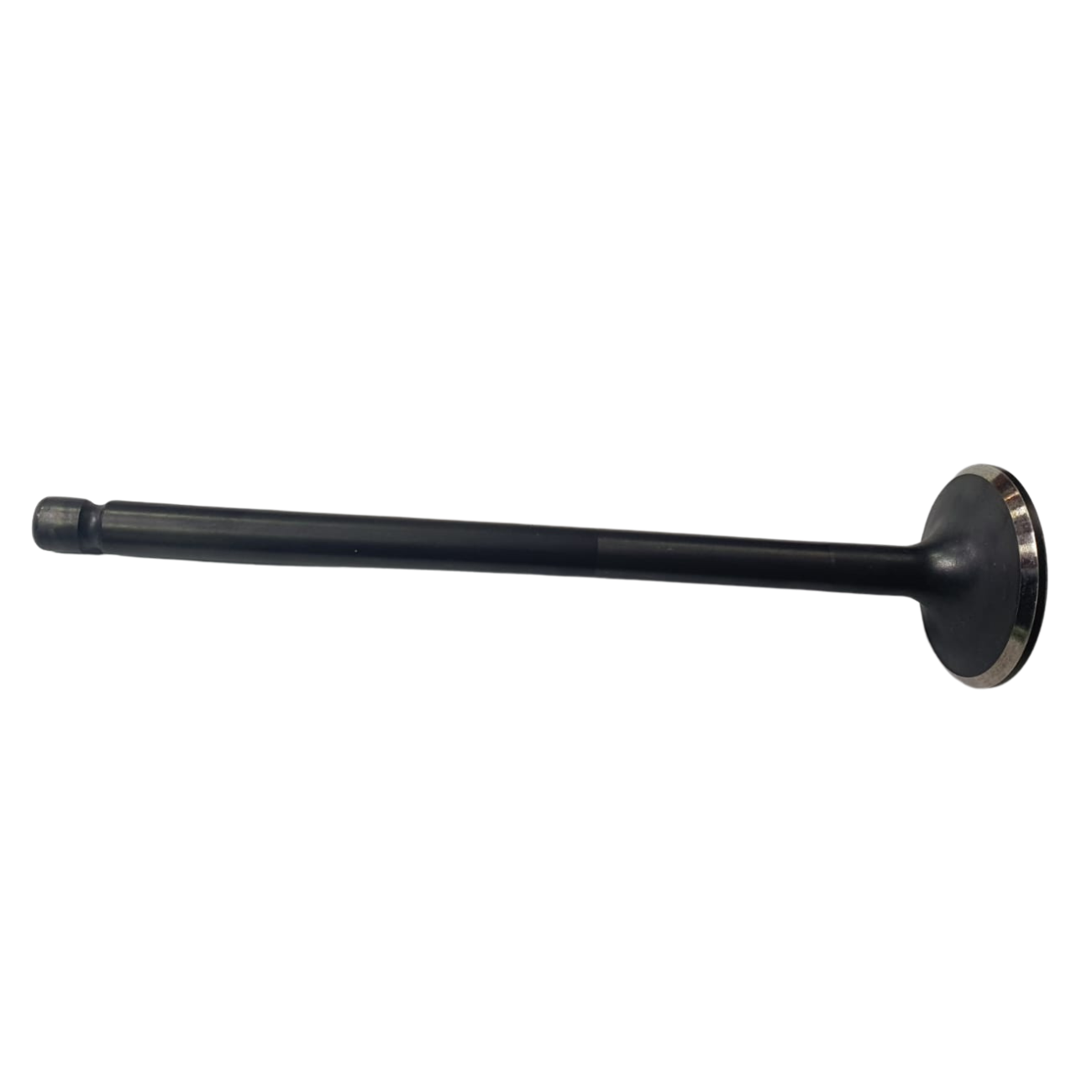 KO555TERR003