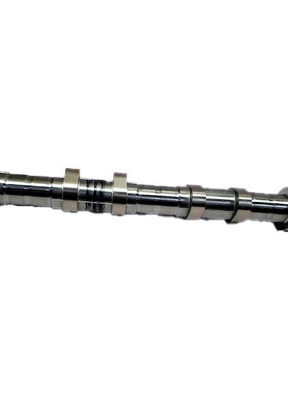 KO555TERR491