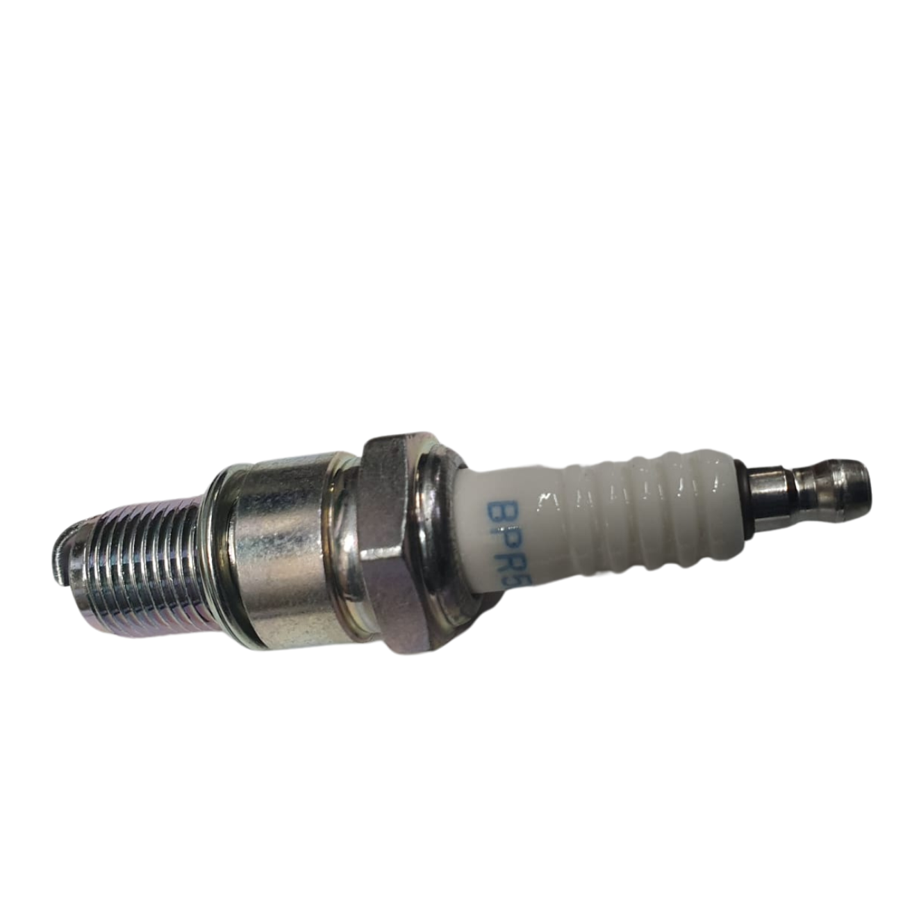 PL555H100019