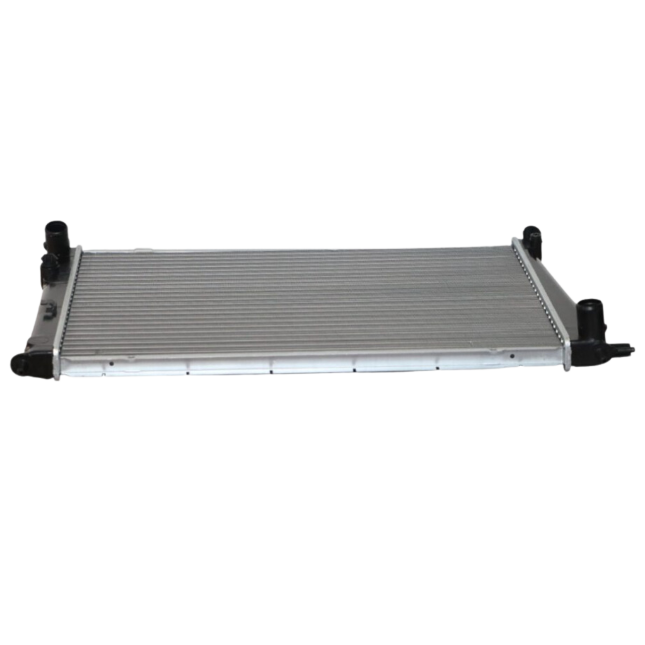 PL555VN619