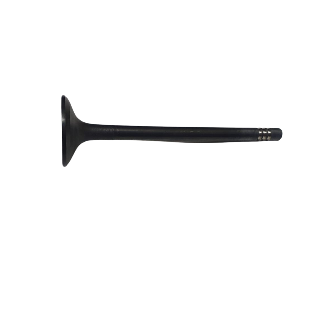PL555VN002