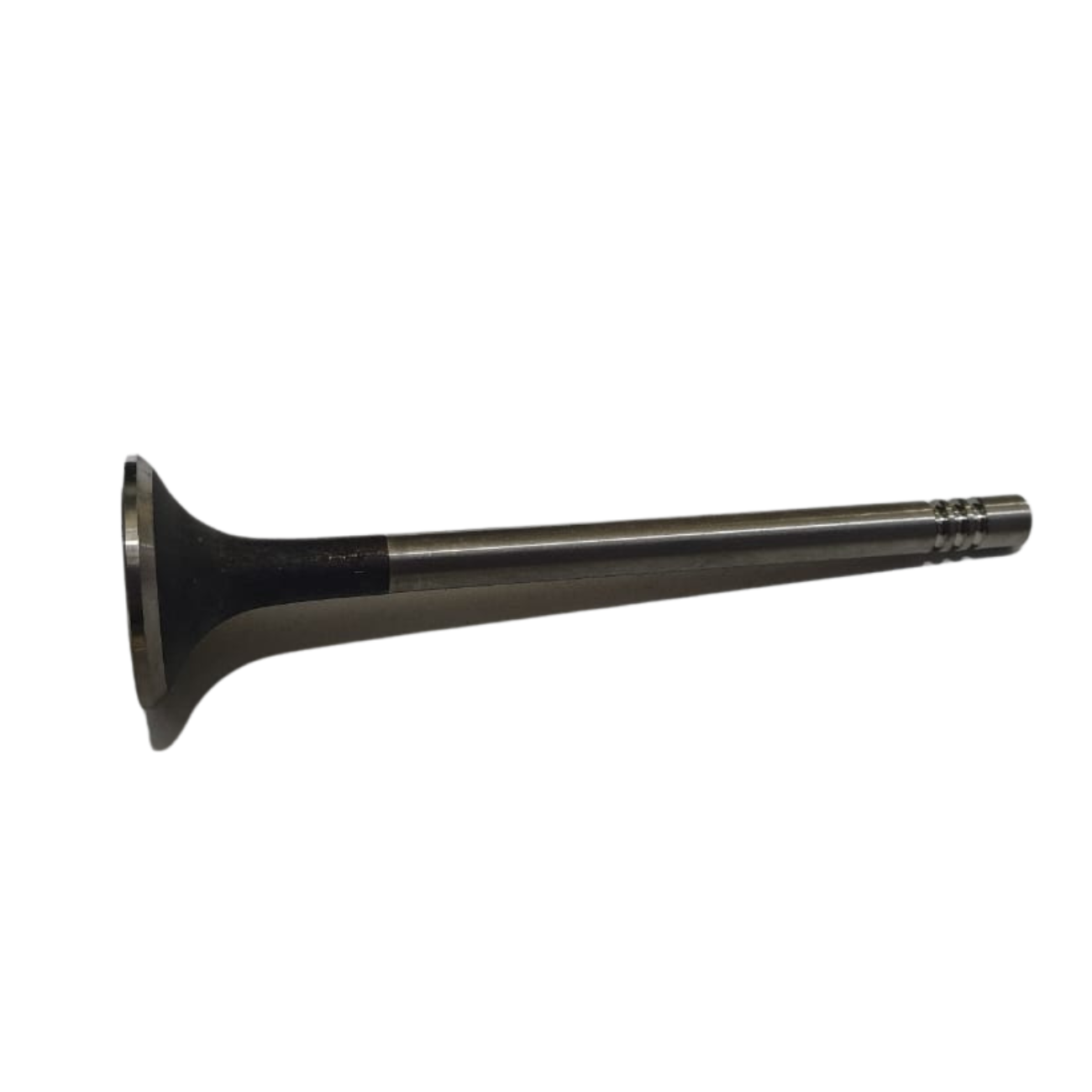 PL555VN003