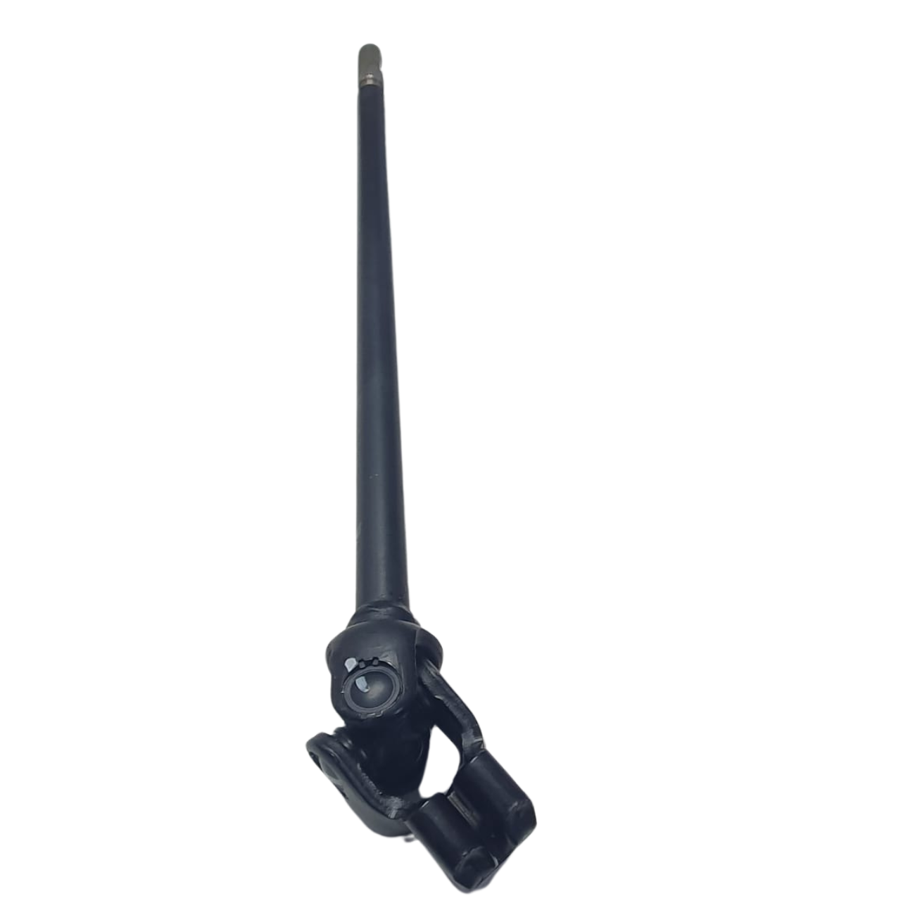 PL555FR231
