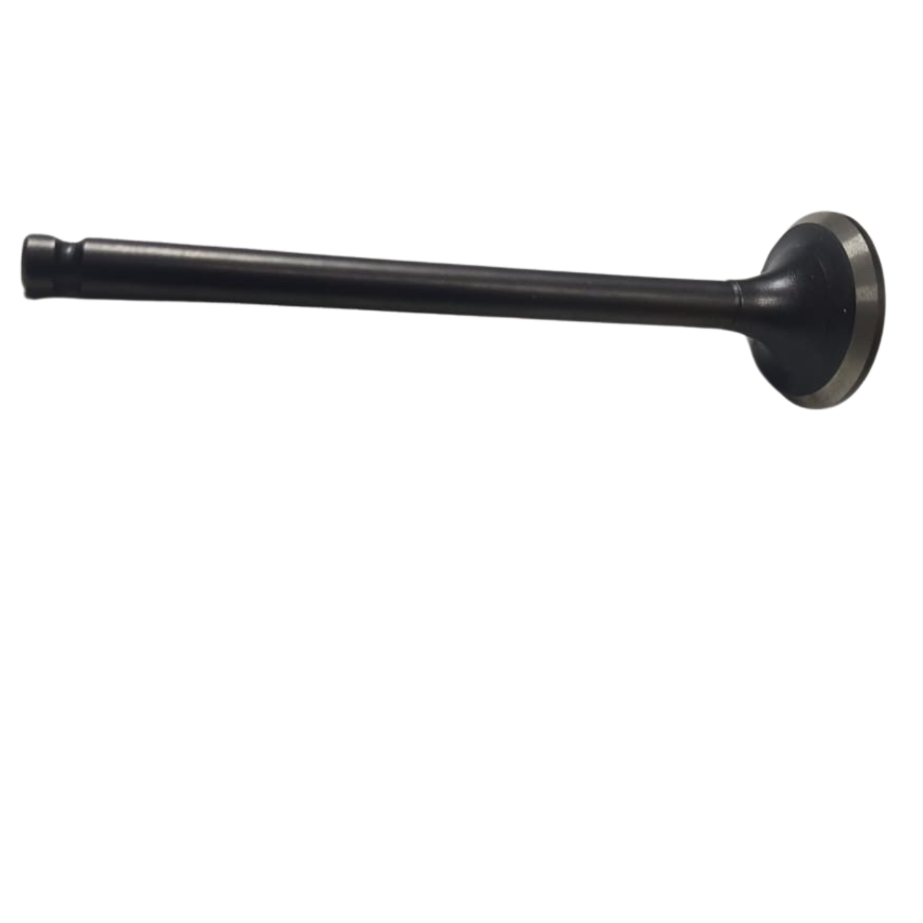 PL555POP003
