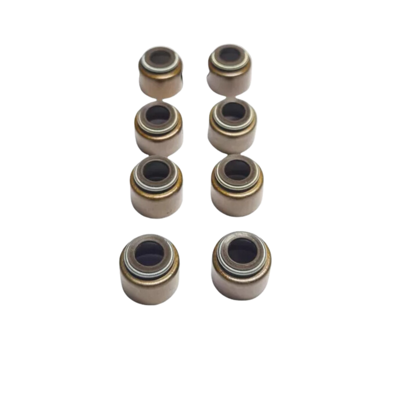 PL5553500004J