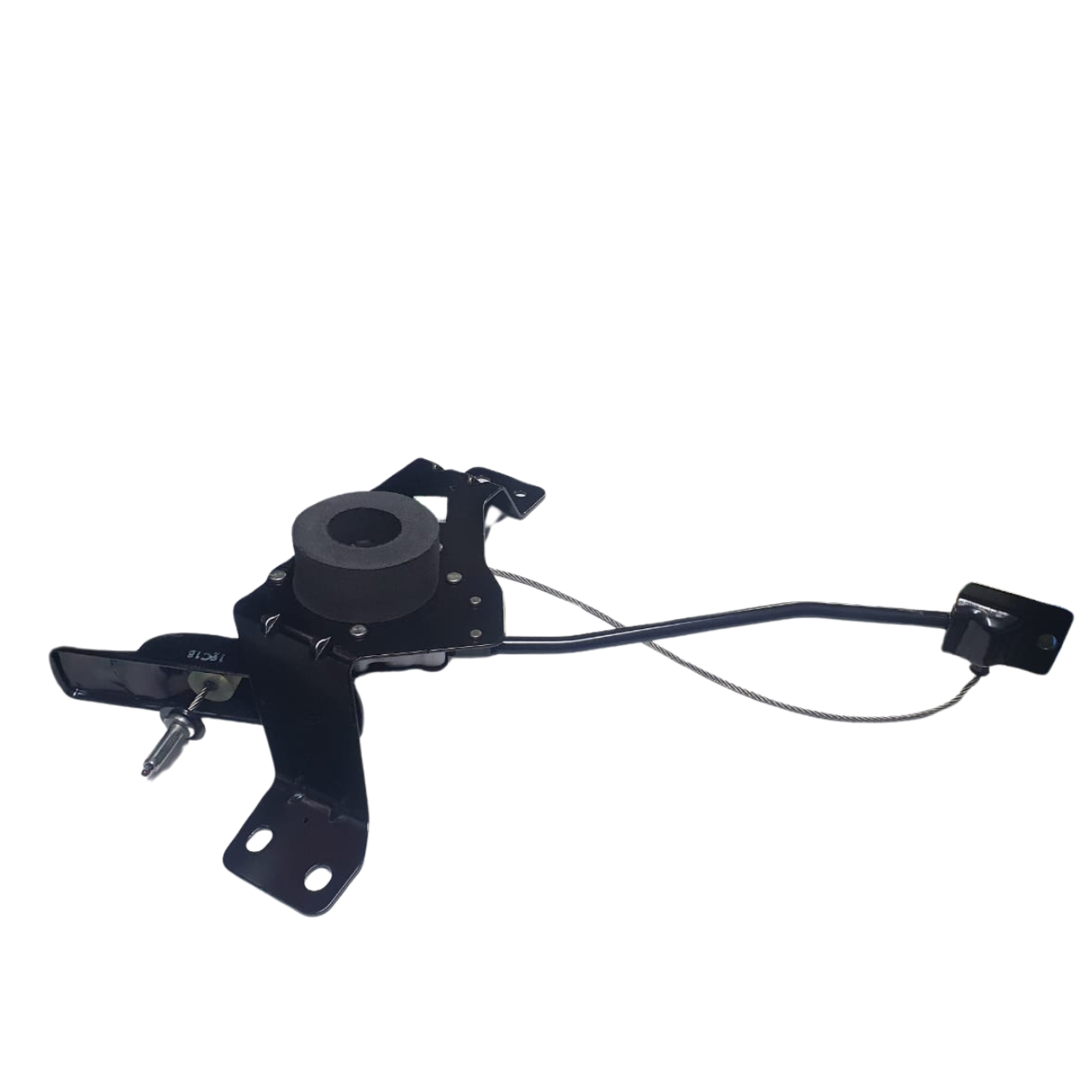 PL555VNNEW318