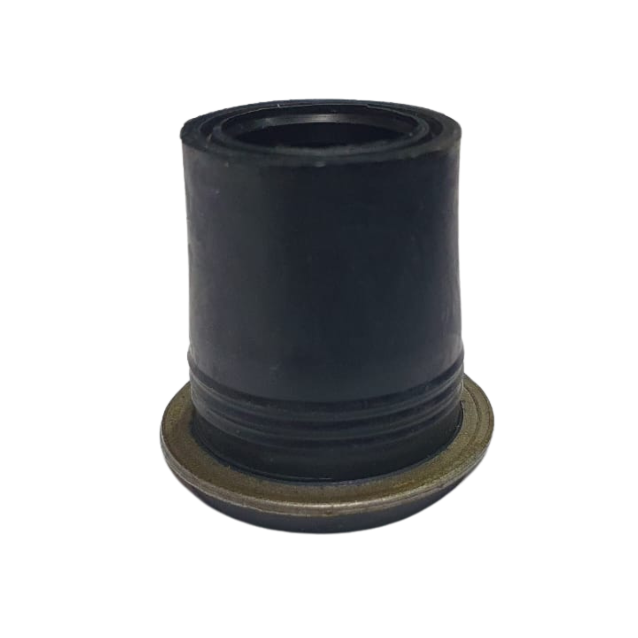 PL555TY2368130010GK