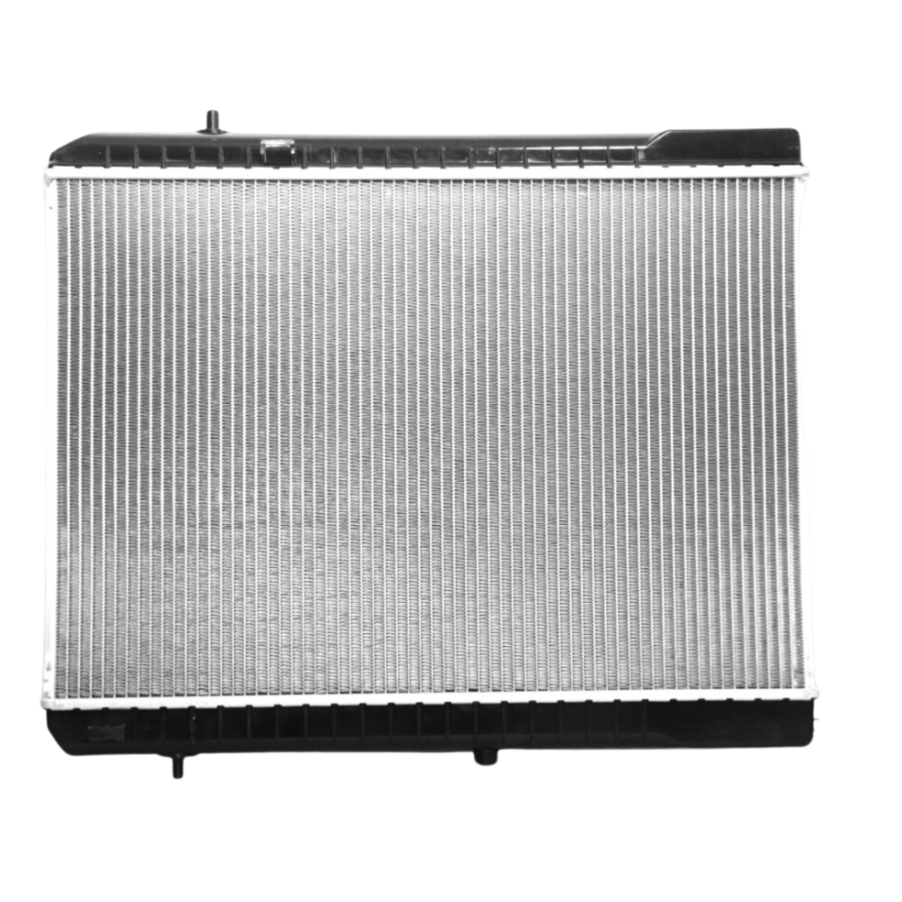 PL555253104D101