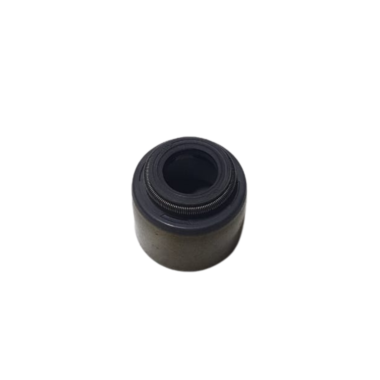 PL5552222435000