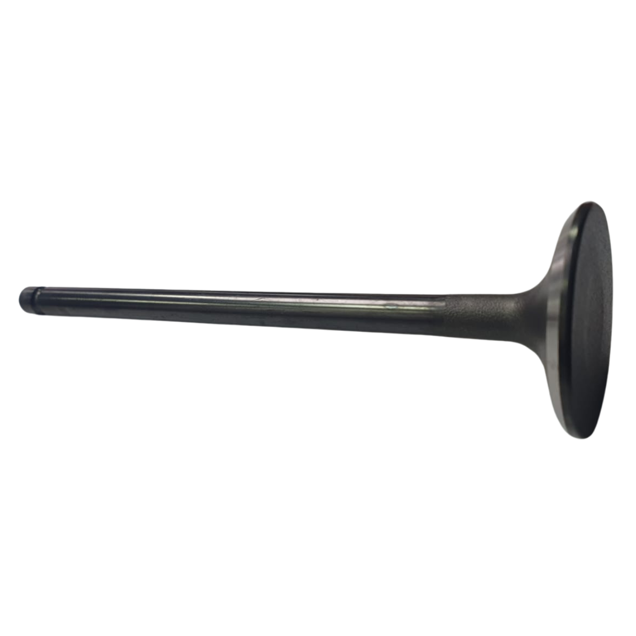 PL5550K55112121
