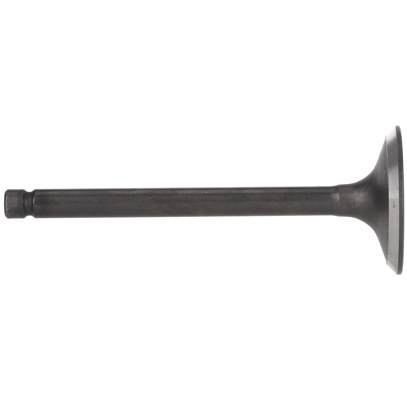 PL555FR002