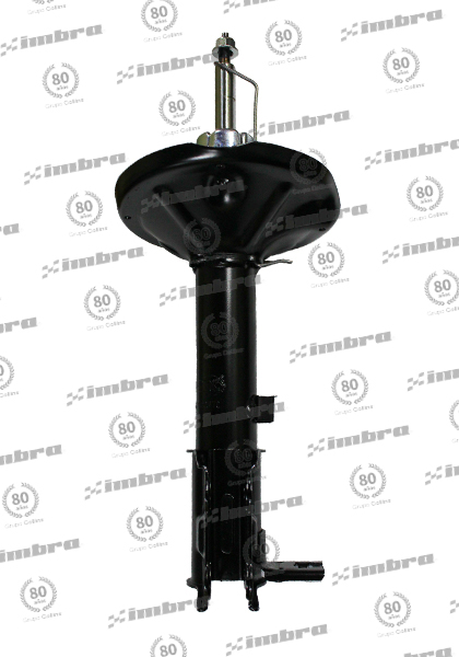 PL555ACCPM449