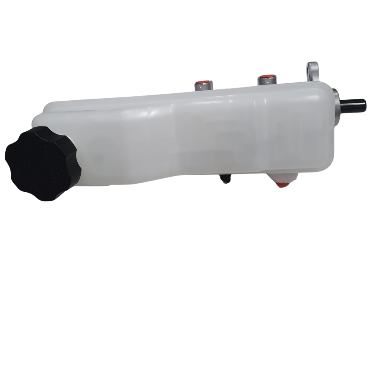 PL555585104H000