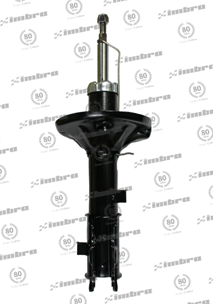 PL555ACCPM448K