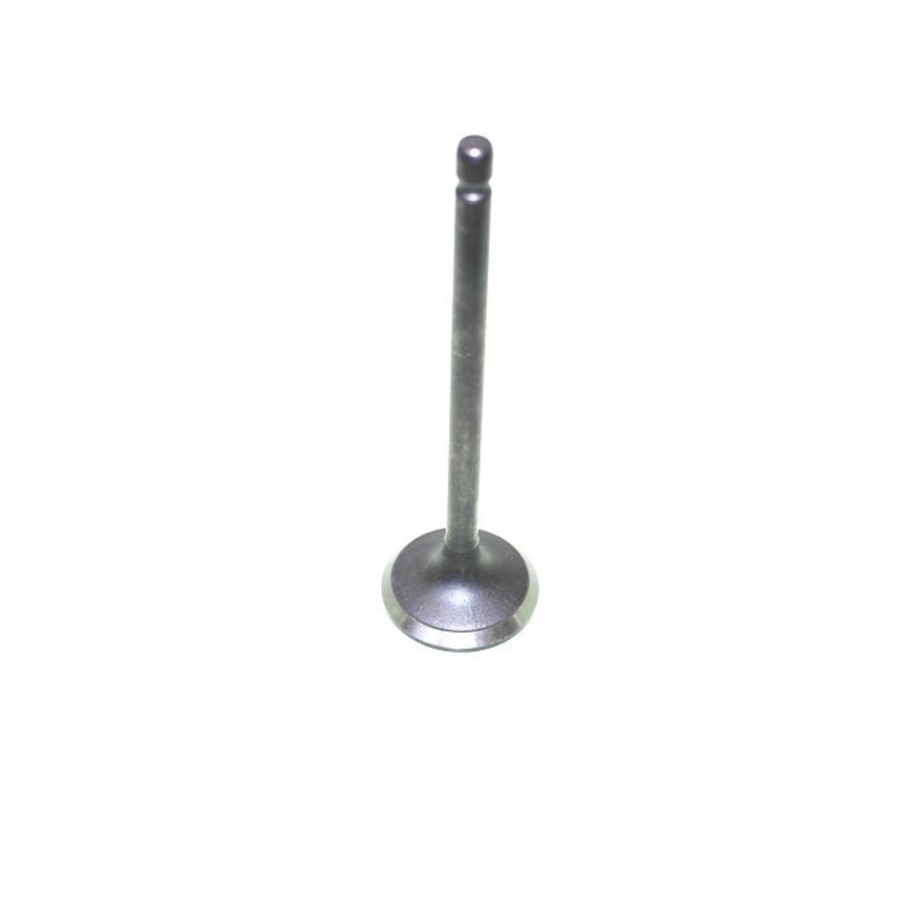 PL555TY137110E010