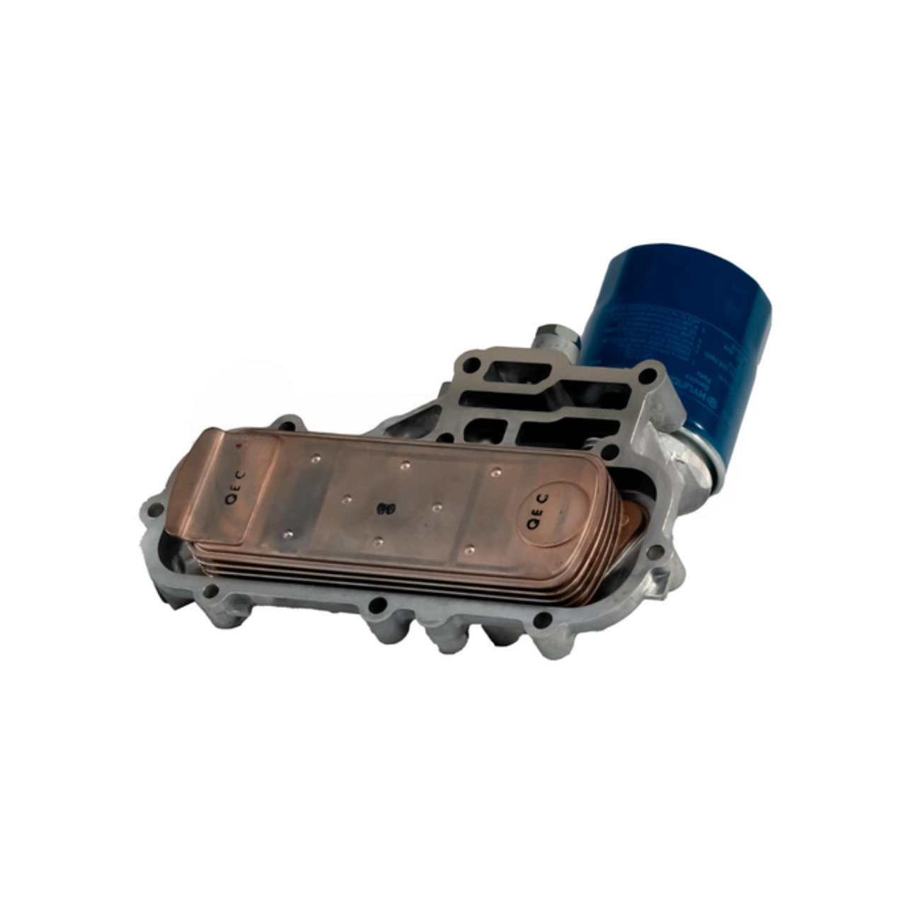 PL555TERR422
